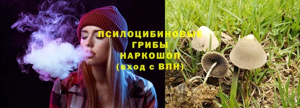гидра Абдулино